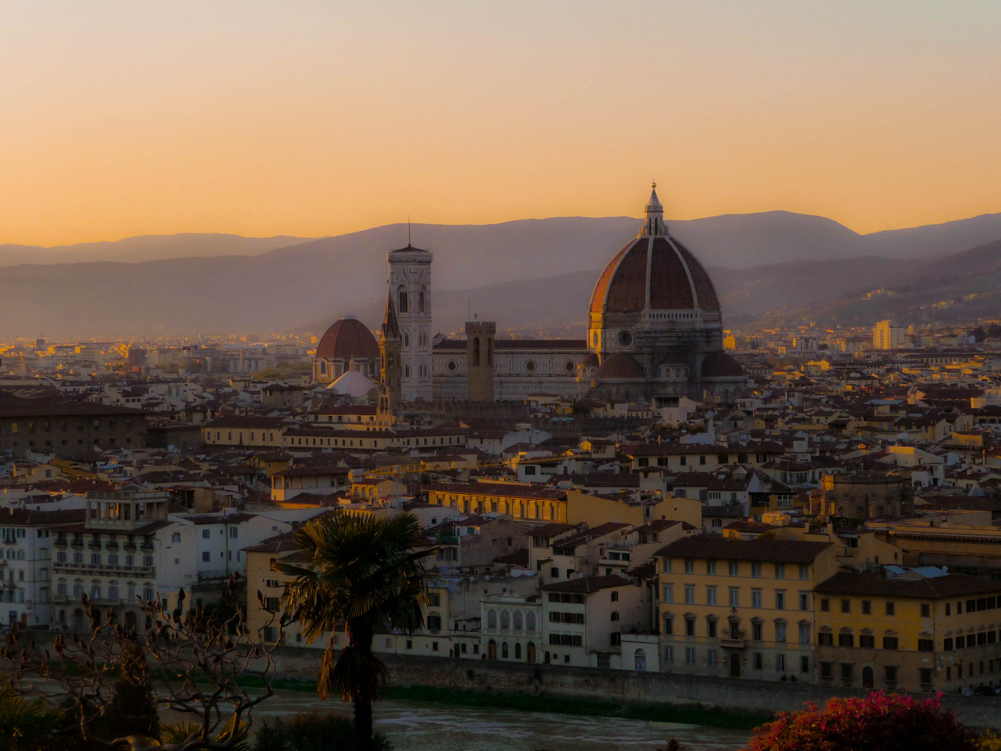 Golden Firenze