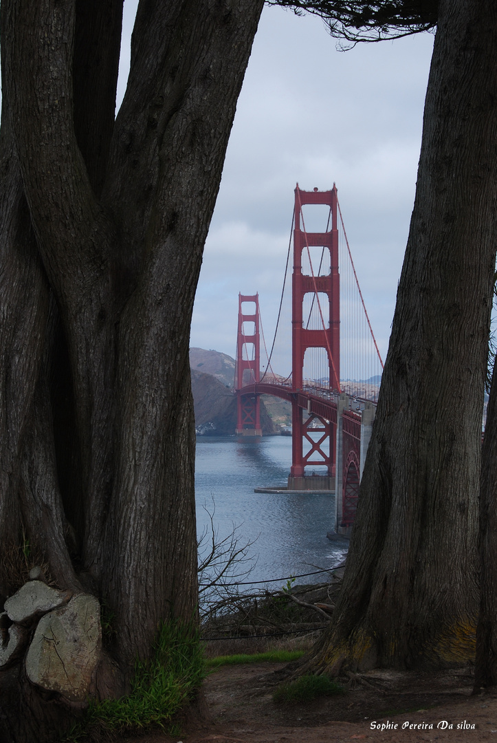 Golden Gate