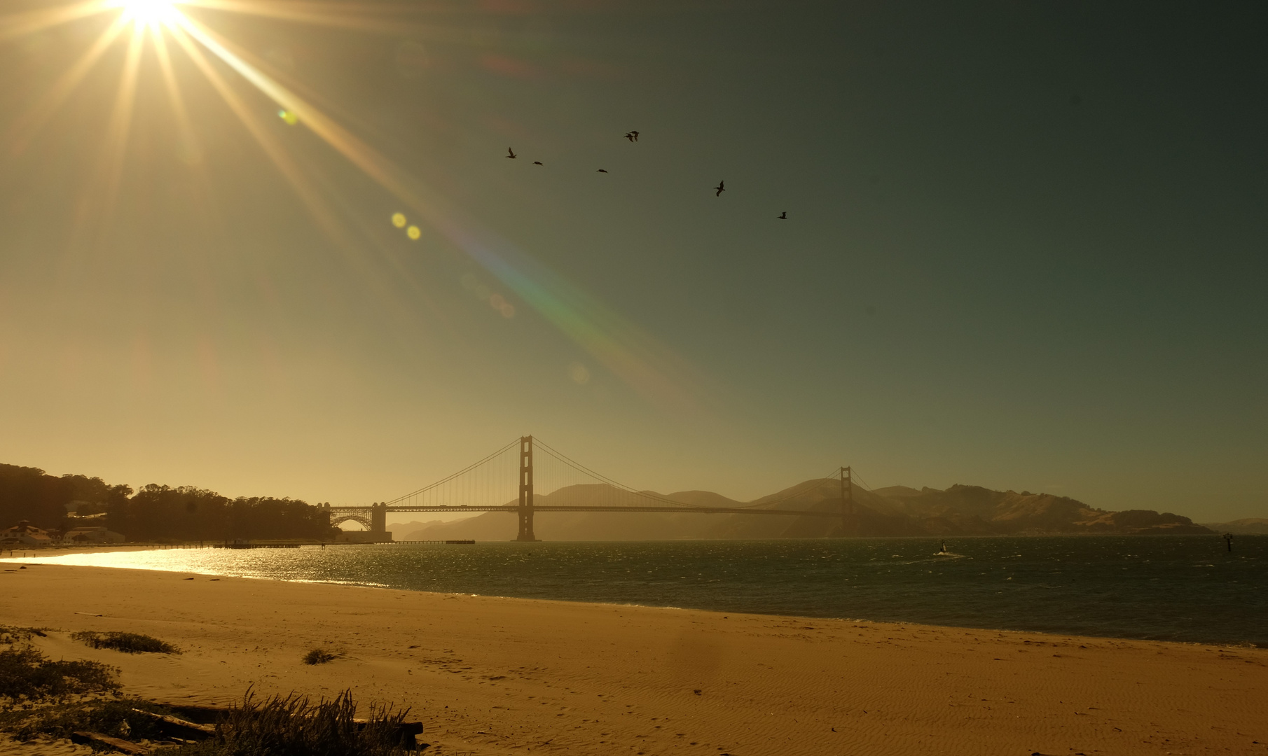 Golden Gate 