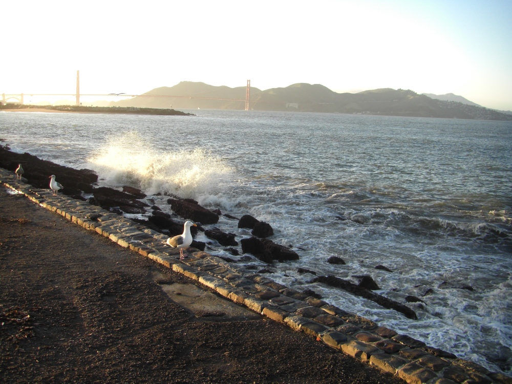 GOLDEN GATE