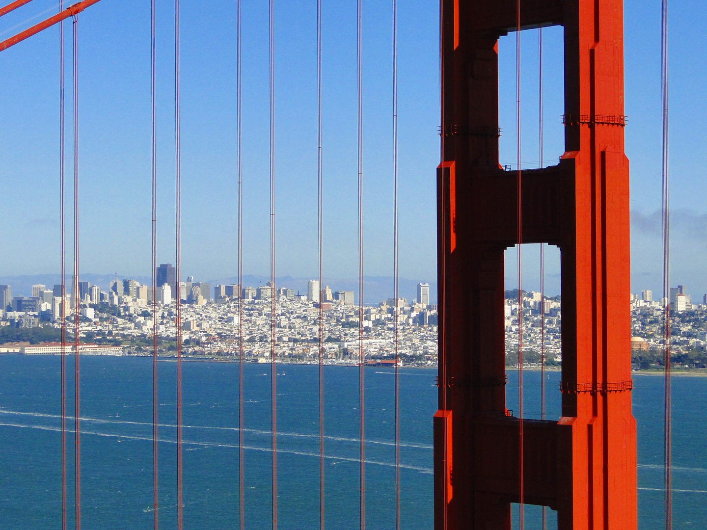 Golden Gate - Beauty in Red