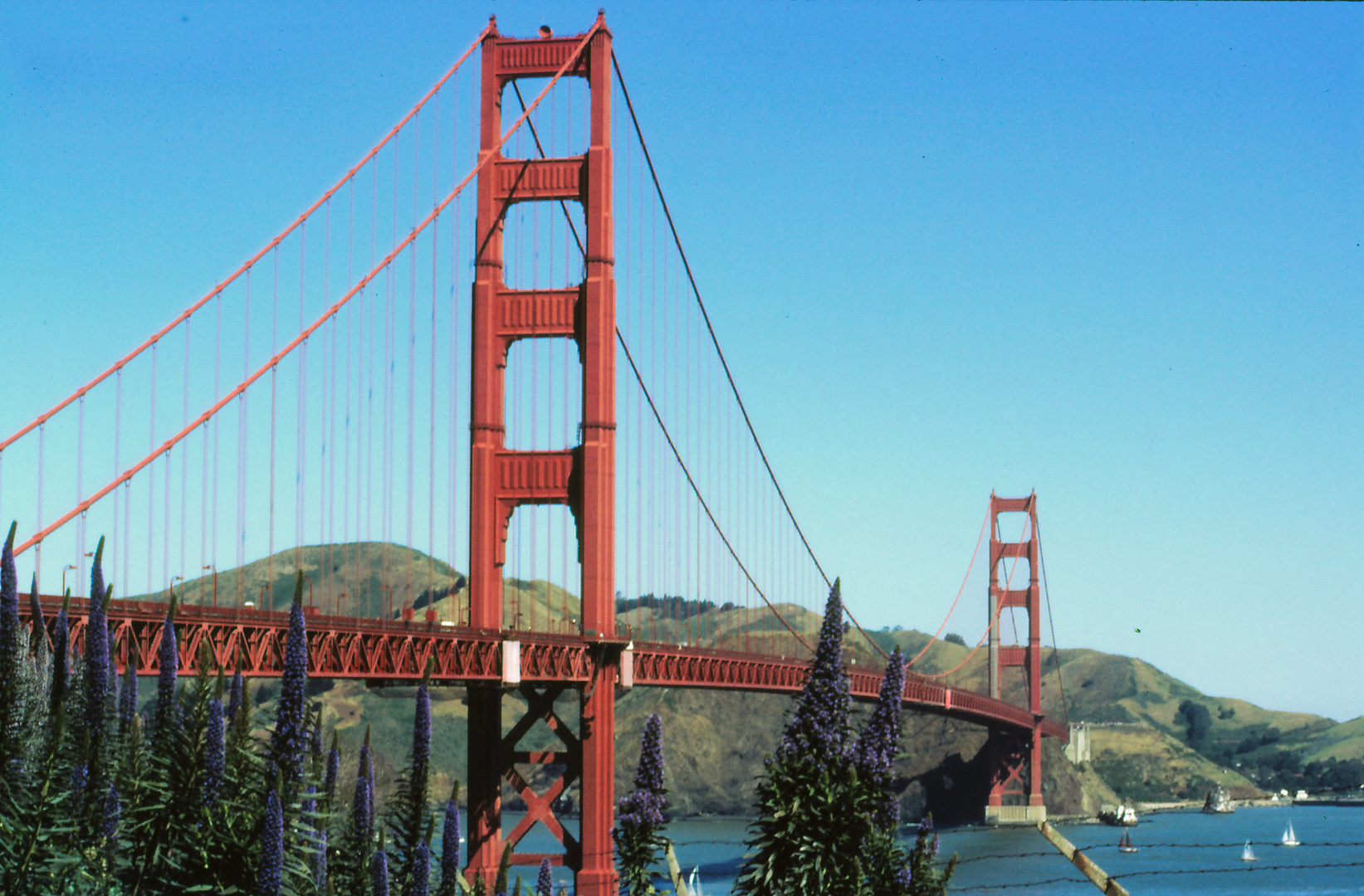 Golden Gate bei schönem Wetter