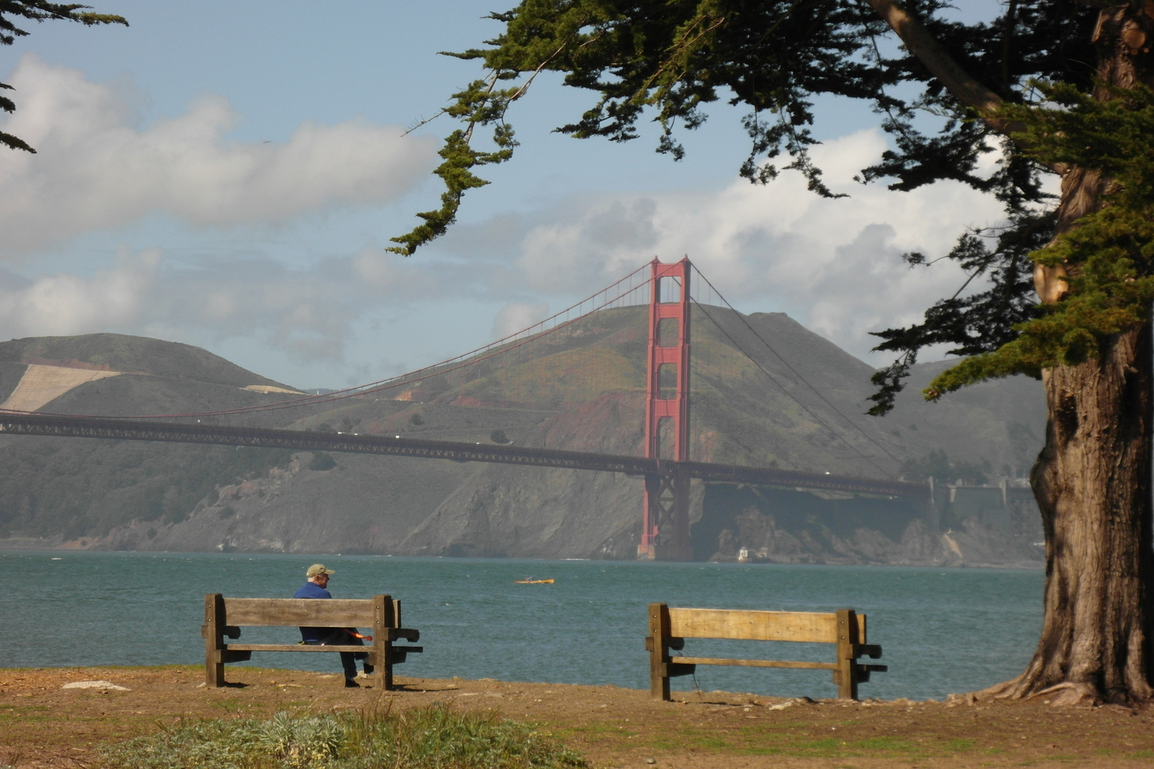 Golden Gate Bitch