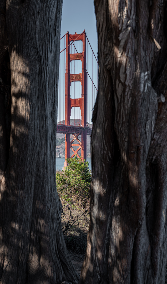 Golden Gate Bridge