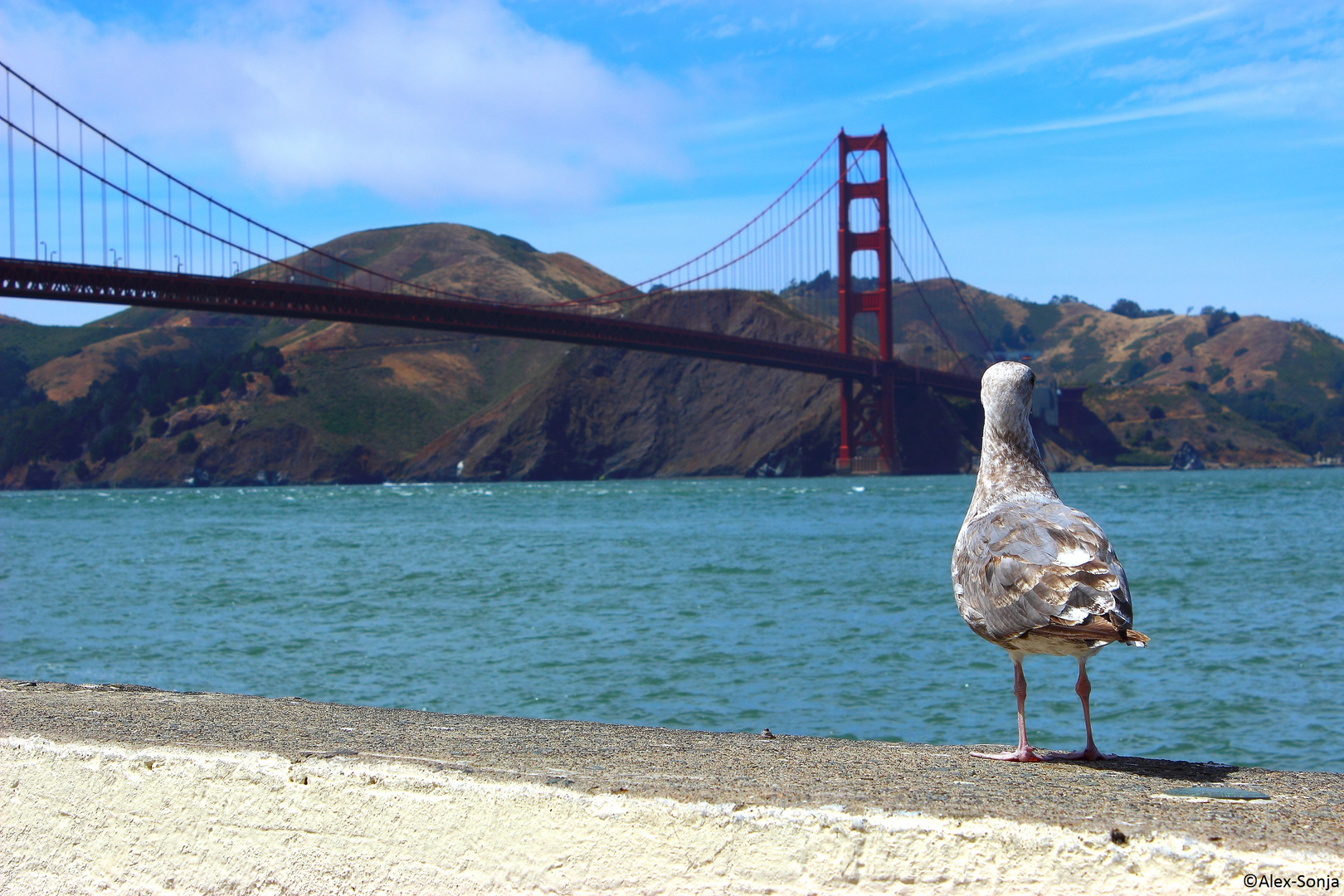 Golden Gate Bridge