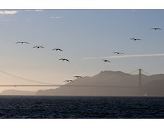 Golden Gate Bridge