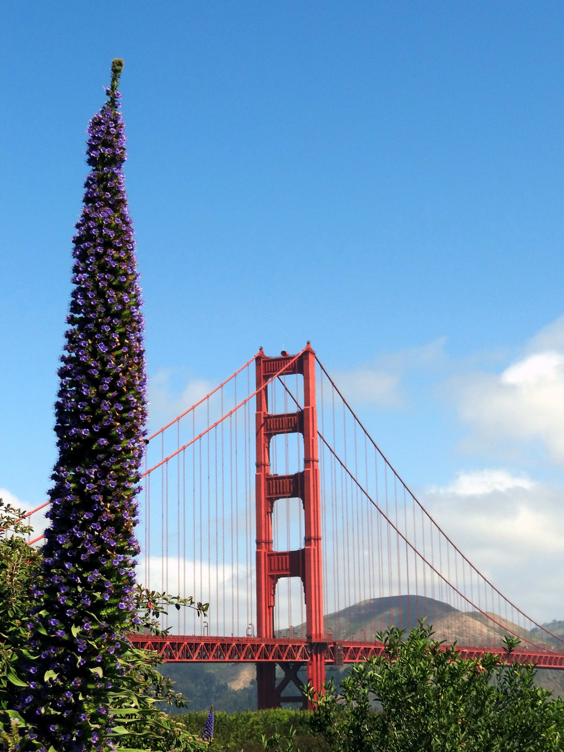 Golden Gate Bridge