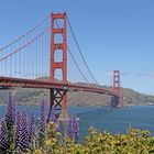 GOLDEN GATE BRIDGE