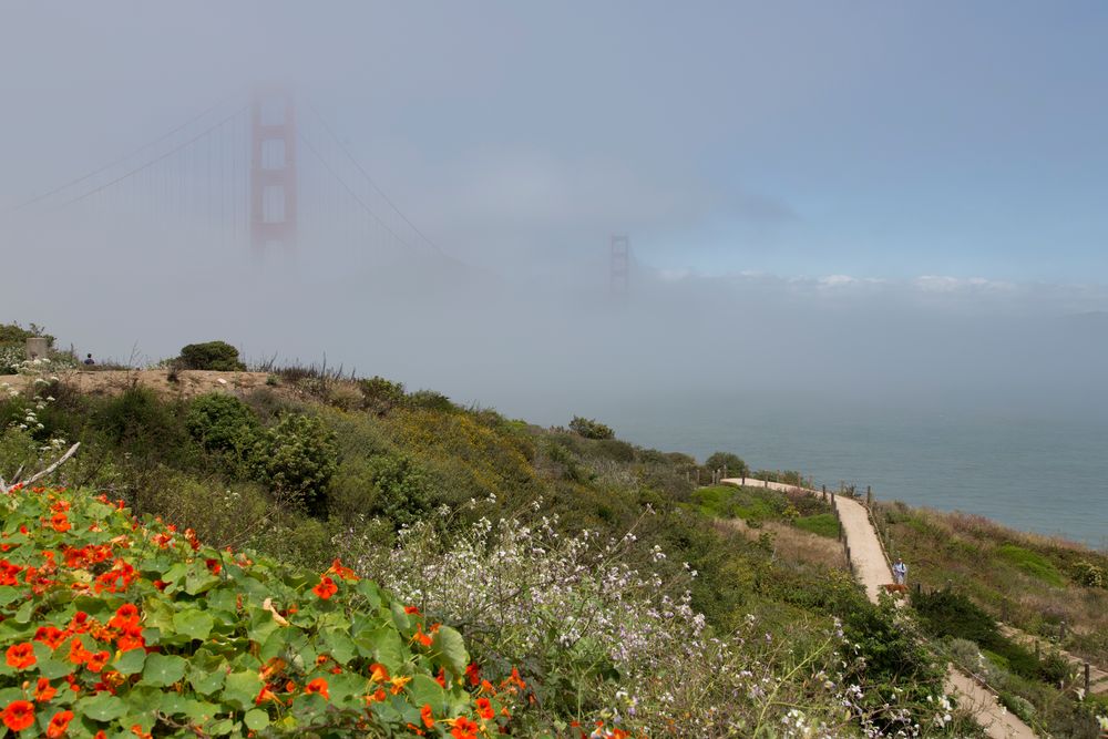 Golden Gate Bridge