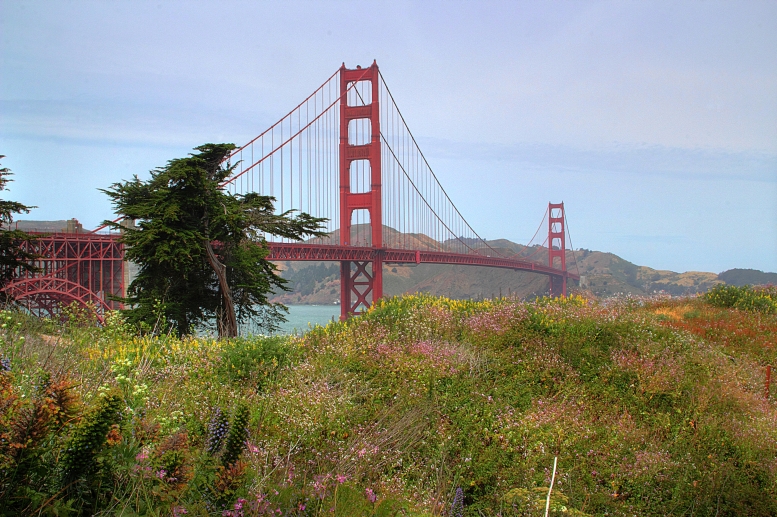 Golden Gate Bridge im Frühling