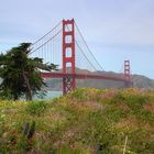 Golden Gate Bridge im Frühling