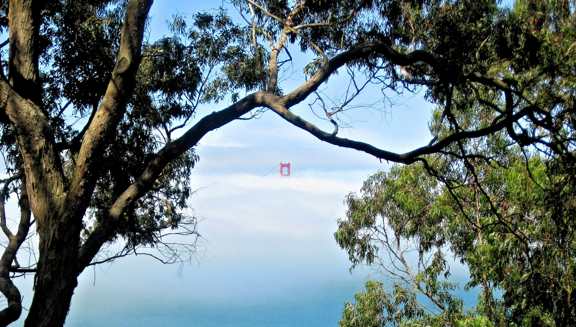 Golden Gate Bridge im klassischen Dunst