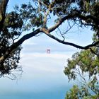 Golden Gate Bridge im klassischen Dunst