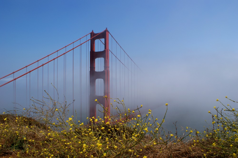 Golden Gate Bridge im Nebel