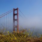 Golden Gate Bridge im Nebel