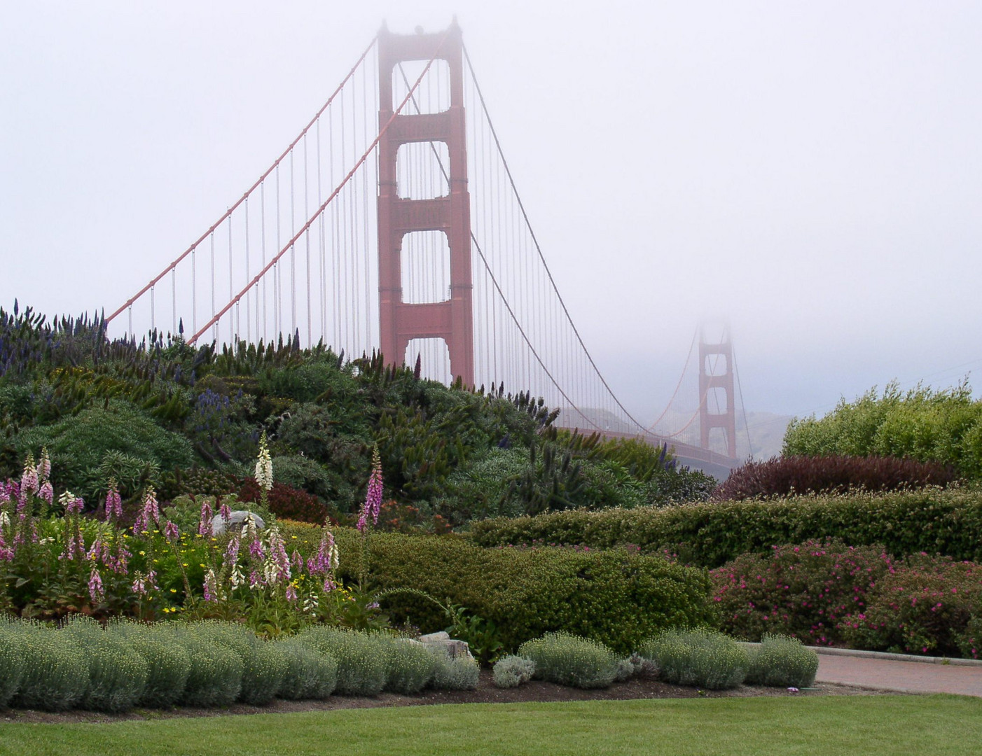 Golden Gate Bridge in SFO 1