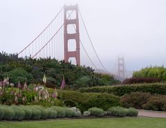 Golden Gate Bridge in SFO 1