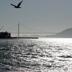 Golden Gate Bridge - San Francisco