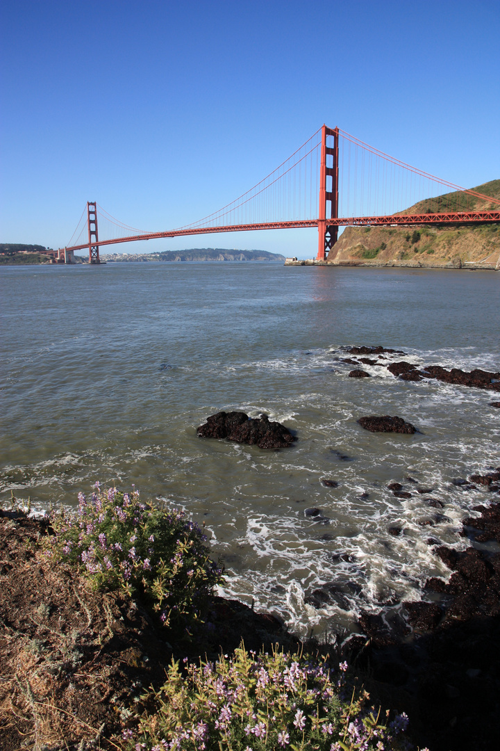 Golden Gate Bridge view from Cavallo Point