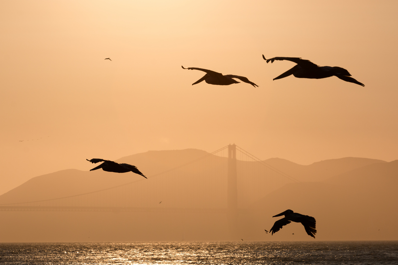 Golden Gate Brigde mal anders