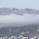 Golden Gate