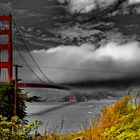 Golden Gate