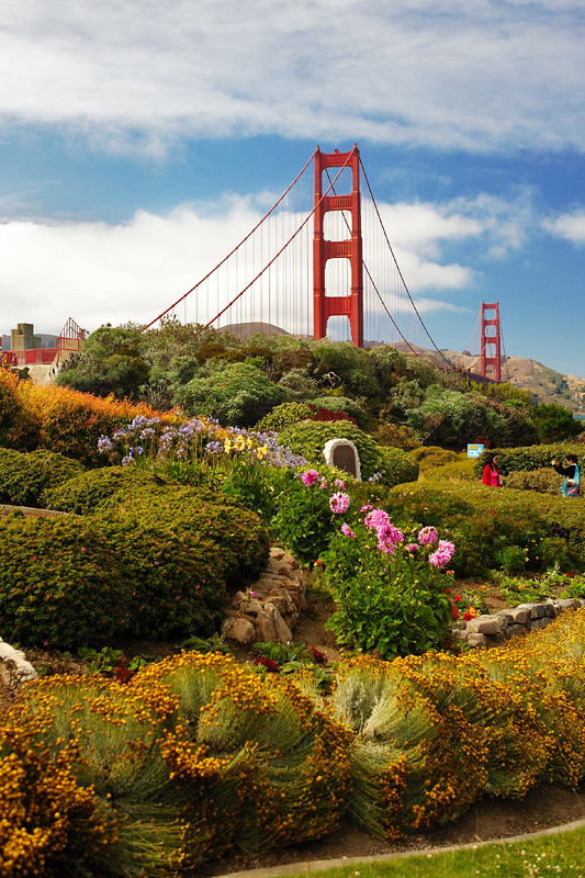 Golden Gate Flowers