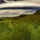 Golden Gate Highlands, South Africa 2009