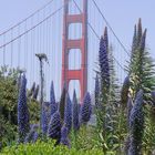 Golden Gate im Morgendunst