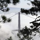 Golden Gate im Nebel