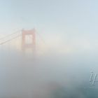 Golden Gate in the fog