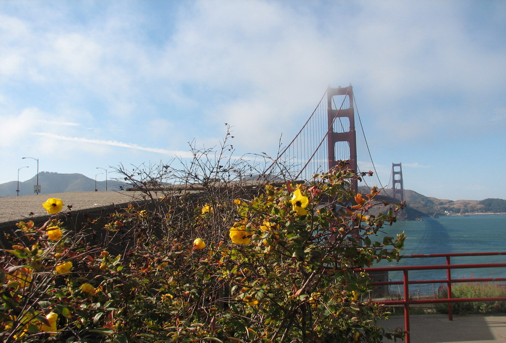 Golden Gate mit Blumen