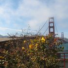 Golden Gate mit Blumen