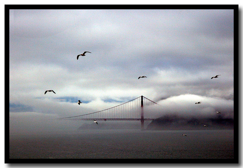 Golden Gate Morning