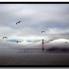 Golden Gate Morning