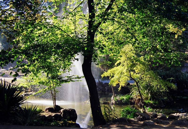 Golden Gate Park, San Francisco