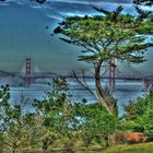 Golden Gate SFO