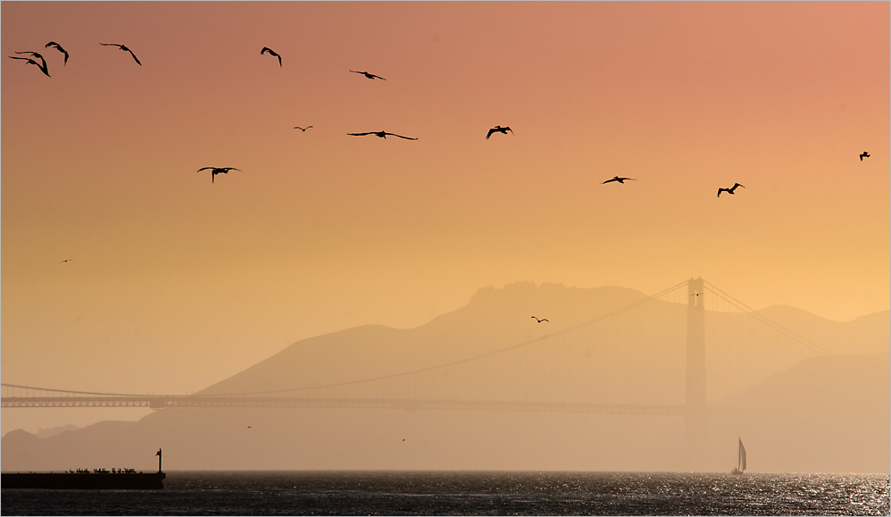 Golden Gate Sunset