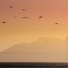 Golden Gate Sunset