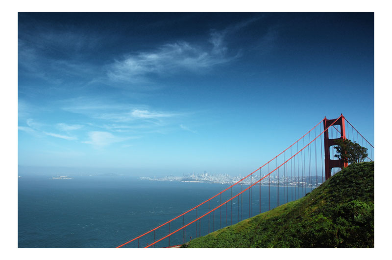 Golden Gate und ein Baum