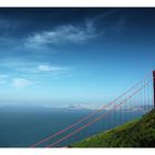 Golden Gate und ein Baum