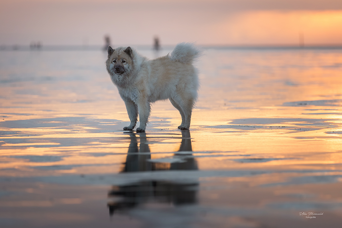 ...golden girl...