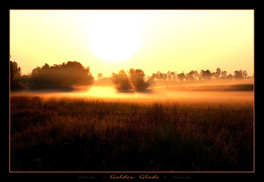 Golden Glade