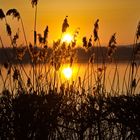 Golden, glänzt der Waginger See fot