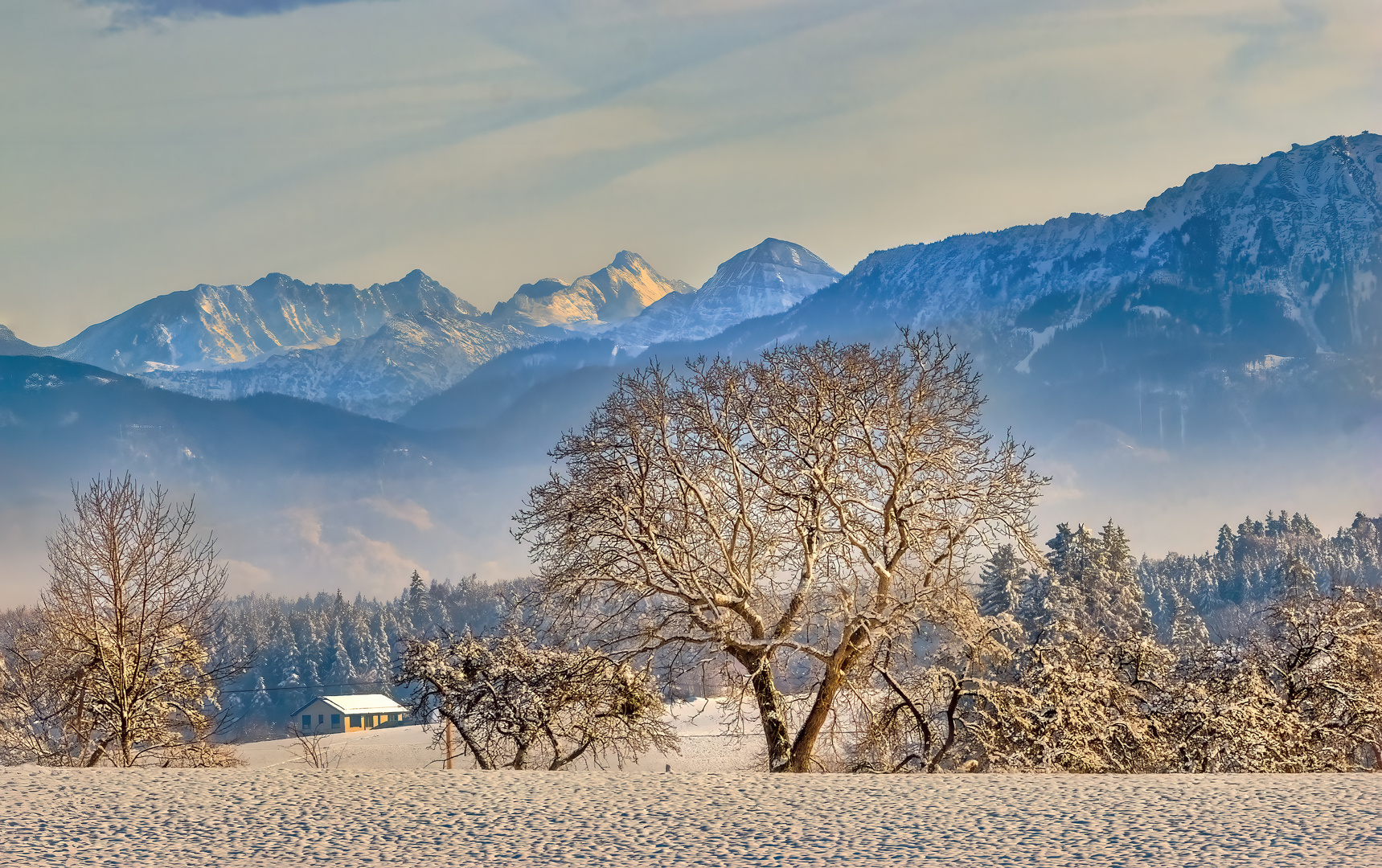 Golden Glow over Winter's Slumber