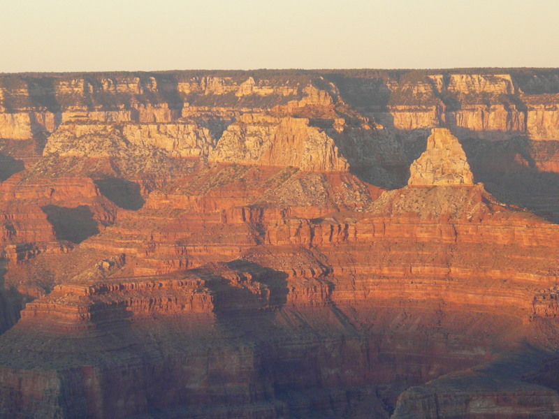 Golden Grand Canyon