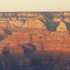 Golden Grand Canyon