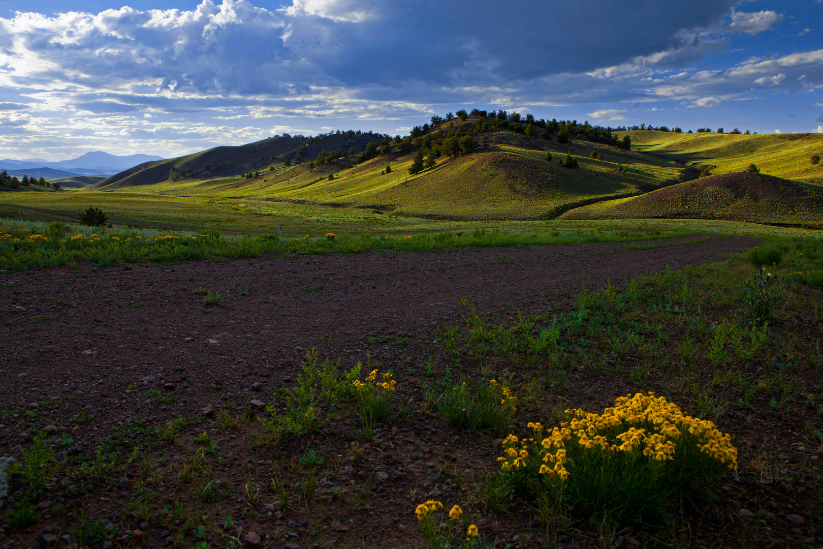 Golden Hills