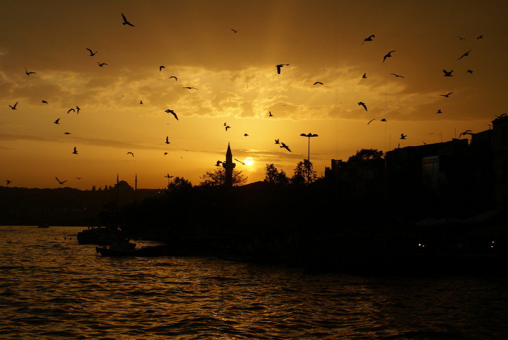 Golden Horn