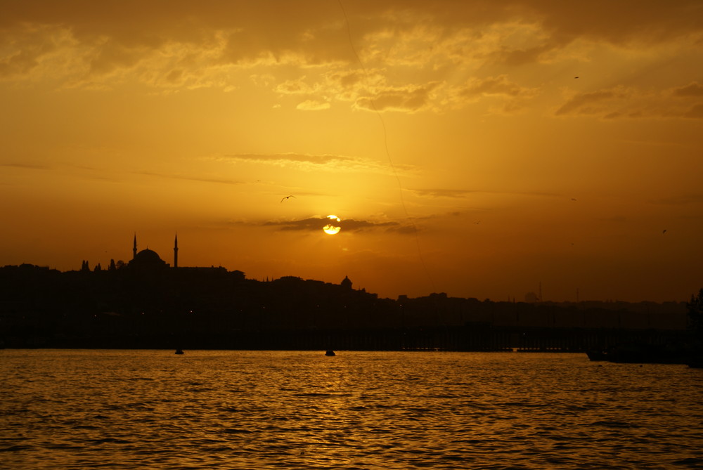 Golden Horn2